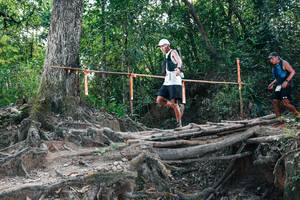 BIB: 
                            <button type="button" onclick="openModal(27807969)" class="btn btn-primary btn-sm float-right btn-popup" data-toggle="modal" data-target=".modal-high-quality">
                        <i class="fas fa-shopping-cart"></i> Add to Cart
                    </button>
                                            <button type="button" onclick="isThisMe(27807969, true)" class="btn btn-success btn-sm float-right btn-popup btn-isme hidden" data-toggle="tooltip" data-placement="bottom" title="นี่คือรูปของคุณใช่ไหม คลิกที่นี่เพื่อเอาเข้าอัลบั้ม">
                        <i class="fas fa-plus"></i> Add to album
                    </button>
                    <button type="button" onclick="isThisMe(27807969, false)" class="btn btn-warning btn-sm float-right btn-popup btn-isnotme hidden">
                        <i class="fas fa-ban"></i> Remove from album
                    </button>